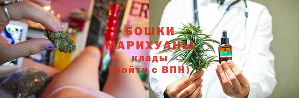 дживик Володарск
