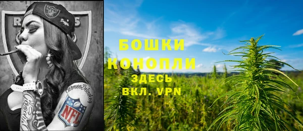 дживик Володарск