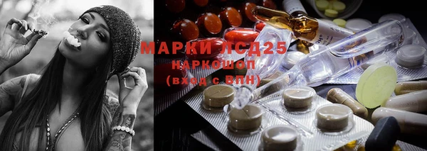 дживик Володарск